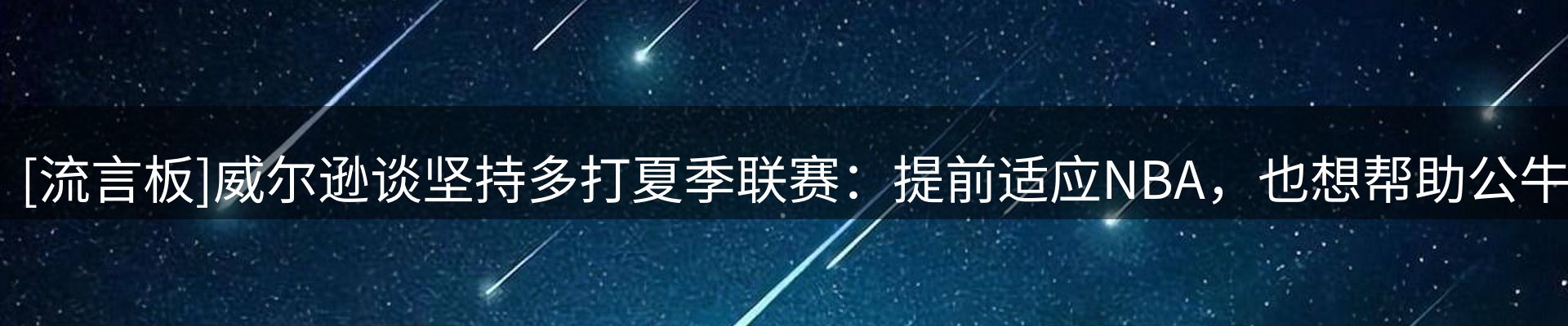 新闻动态